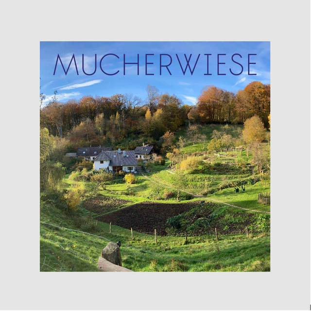 Portfolio: Mucherwiese e. V.