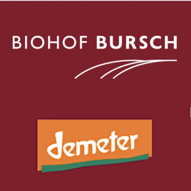 Portfolio: Biohof Bursch